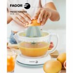 Electric citrus press - FAGOR - FGPA07 - 700 ml - 2 cones - Pouring spout - Image 2