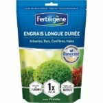 Fertiligene - Long -term fertilizer osmocote max shrubs, boxwood, conifers, hedges 700g