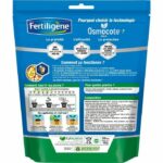 FERTILIGeNE - Osmocote max long-lasting fertilizer dice Green and flowering plants 25 dice - Image 2