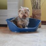 Siesta Deluxe Plastic Basket Size 2 Black - Image 2