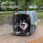 Transport basket for cats and small dogs JET 10 - Plastic - FERPLAST - Image 2