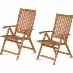 Adjustable chairs - Fieldmann - FDZN 4001-T