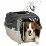 TRIXIE Capri 3 Dog transport box 40 × 38 × 61 cm - Image 2