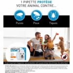 FRONTLINE 3 SPOT ON Antiparasitic Pipettes for Dogs - 2 to 10 kg - Fleas, ticks, lice - Image 2