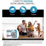 FRONTLINE 3 SPOT ON Antiparasitic Pipettes for Dogs - 20-40 kg - Fleas, ticks, lice – Bild 2