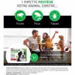 FRONTLINE 3 Antiparasitic pipettes COMBO Dog > 40 kg - Fleas, ticks, chewing lice - Image 2
