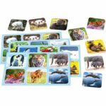 Zoo Lotto - SCHMIDT SPIELE - Image 2