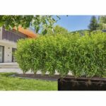 Hose extension with incorporated drippers 25 m buried and above ground - 13503-20 - Image 2