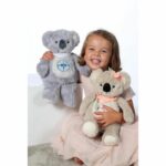 GIPSY - Kwaly my storyteller koala - Image 5
