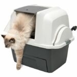 Smartsift Home - Image 2