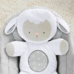 Ingenuity - Swing - Cuddle Lamb - Image 6