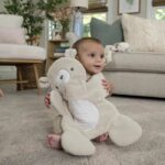 INGENUITY Little Bear Comfort Transat, Luminous Play Arch, Removable Reducer Cushion - Image 5