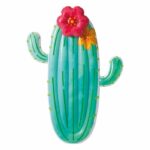 CACTUS MATTRESS - Intex
