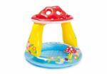 Mushroom Sunshade Pool - Intex