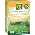 KB - Grass seeds - Dry and sunny terrain 40m²