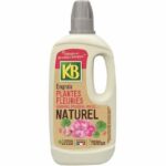 Natural Fertilizer Flowering Plants: Geraniums, Dipladénias, Perennials, … 1L