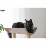KERBL - Ambiance Taupe cat tree - 49x35x56 cm - Taupe - Sisal - Image 5