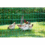 Kerbl net for hens 50 m - 106 cm - Double tip - green - non -electric - Image 3