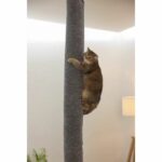 Climbing bag for cats - KERBL - CARPET - 16 x 16 x 240 cm - Ceiling mount - Polyester