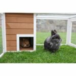 Outdoor enclosure for small animals - KERBL - 132 x 102 x 59 cm - Integrated house - Wire mesh - Image 3