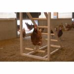 KERBL Chicken climbing tower - 85 x 55 x 76 cm - With swing - Robust ladder - Image 2