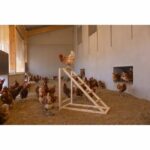KERBL Chicken climbing tower - 85 x 55 x 76 cm - With swing - Robust ladder - Image 3
