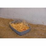 Laying box for chickens - KERBL - 52 x 39 x 39 cm - Image 4