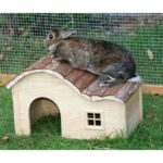 Kerbl Rodent House with Curved Roof Nature 40x25x25 cm - Image 3