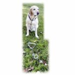 Kerbl leaving attachment with dog spiral anchoring - Image 2