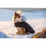 Warm dog coat - KERBL - TEDDY - 48 cm - Blue - Image 4