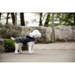 Warm dog coat - KERBL - TEDDY - 48 cm - Blue - Image 5