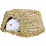 Plant house for rodents – Bild 2