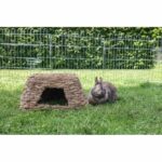 Plant house for rodents – Bild 3