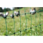 Kerbl net for the 25 m chickens - 106 cm - Double tip - green - non -electric - Image 4