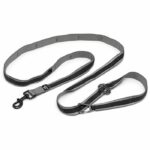 Hands-free leash - KURGO - QUANTUM - 6 positions - 120 to 180 cm - Black