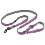 Hands-free leash - KURGO - QUANTUM - 6 positions - 120 to 180 cm - Purple
