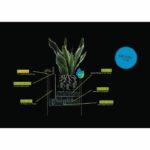 LECHUZA Canto Stone Cube 30 flower pot - complete LED kit, quartz white - Image 4