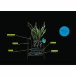 LECHUZA Jardiniere Canto Color Square 40 ALL-IN-ONE Gray 13720 - Image 4