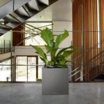 LECHUZA Canto Premium Cube 40 flower pot - complete set, metallic anthracite - Image 5