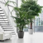 LECHUZA Classico Premium 60 flowerpot - complete set, taupe glossy - Image 5