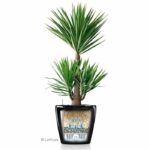 LECHUZA Classico Premium 60 flower pot - complete set, metallic silver - Image 4