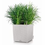 LECHUZA Cube Cottage 50 flower pot - complete set, light grey - Image 2