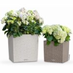 LECHUZA Cube Cottage 50 flower pot - complete set, light grey - Image 3