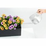 Potted Planting Kit - LECHUZA - BALCONERA 50 - Polypropylene - Brown - Indoor & Outdoor - Image 3