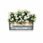Potted Planting Kit - LECHUZA - BALCONERA 50 - Polypropylene - Brown - Indoor & Outdoor - Image 4