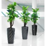 LECHUZA Diamante Premium Flowerpot - Complete Set, Metallic Anthracite - Image 2