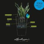 LECHUZA Cubico Premium 50 flower pot - complete set, glossy black - Image 3