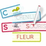 I read, write and play with the farm - Carotina - learning game - 72 erasable cards - LISCIANI - Image 2
