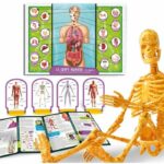 Human Body Discovery - Science Kit - I'M A GENIUS POCKET - 3D Model - Image 2