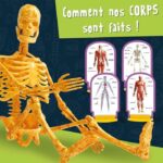 Human Body Discovery - Science Kit - I'M A GENIUS POCKET - 3D Model - Image 3